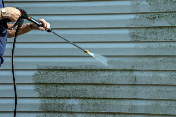 Best Gutter Cleaning  in Morton Grove, IL